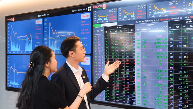 Luỹ kế 9 tháng đầu năm 2025, Rồng Việt ghi nhận tổng doanh thu 818 tỷ đồng và lợi nhuận sau thuế đạt 260 tỷ đồng
