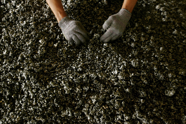 Ảnh minh họa - Ảnh: Reuters.