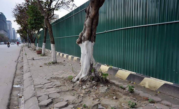 Hà Nội: Bậc tam cấp bị đập bỏ, nhiều dự án BĐS vẫn “ôm” trọn vỉa hè ảnh 7