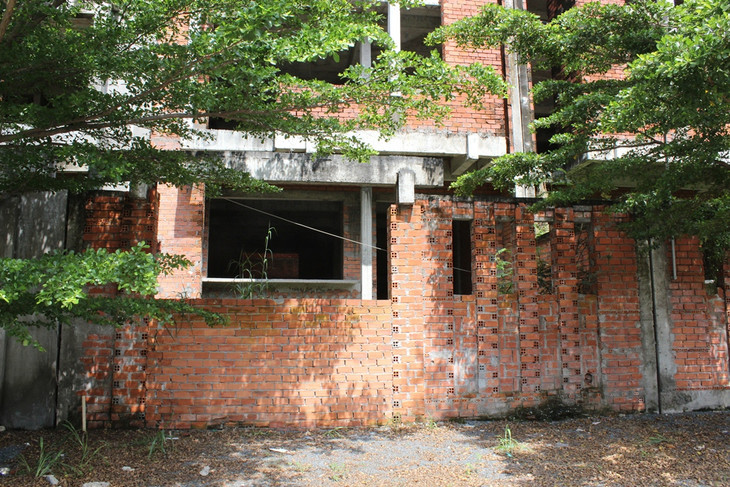 TP.HCM: Hoang tàn những dự án biệt thự hàng chục tỷ đồng ảnh 7