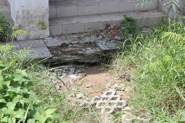 TP.HCM: Hoang tàn những dự án biệt thự hàng chục tỷ đồng ảnh 9