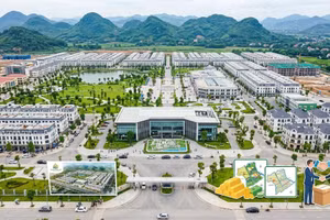 Ảnh minh họa, nguồn AI