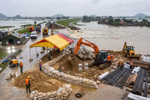 Ninh Bình: Tìm được nhà thầu gói 155 tỷ đồng khắc phục sự cố tuyến đê sông Vạc