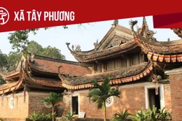 Ngày 8/2/2026, đấu giá quyền sử dụng đất tại xã Tây Phương, Hà Nội