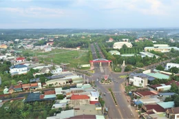 Ngày 9/9/2025, đấu giá quyền sử dụng đất tại xã Tân Tiến, tỉnh Đồng Nai