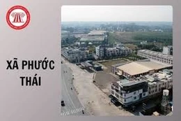 Ngày 12/3/2026, đấu giá quyền sử dụng đất tại xã Phước Thái, tỉnh Đồng Nai