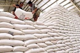 Ngày 26/3/2026, đấu giá Gạo DTQG loại 15% tấm và Gạo sản xuất trong nước của Chi cục Dự trữ Nhà nước khu vực XV (Cần Thơ)