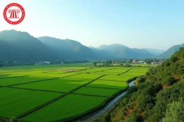 Ngày 31/3/2026, đấu giá quyền sử dụng 14 lô đất tại xã Chợ Rã, tỉnh Thái Nguyên