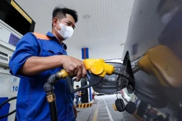 Giá xăng ngày 14/8 sẽ quay đầu giảm. Ảnh minh họa