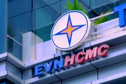 Ngày 10/12/2025, đấu giá lô tài sản hư hỏng, không có nhu cầu sử dụng, thanh lý của Tổng công ty Điện lực TPHCM TNHH