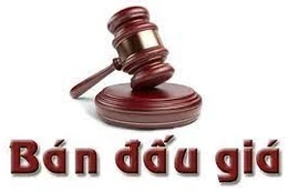 Ngày 15/8/2025, đấu giá 50 tài sản cố định đã hư hỏng, phục hồi tái sử dụng tại TP. Hà Nội