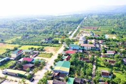 Ngày 20/8/2025, đấu giá quyền sử dụng đất tại xã Bù Đăng, tỉnh Đồng Nai