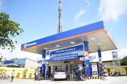 Ngày 16/3/2026, đấu giá tài sản tại kho, cảng xăng dầu của Công ty TNHH MTV Petrolimex Đồng Nai