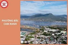 Ngày 10/3/2026, đấu giá quyền sử dụng đất tại phường Bắc Cam Ranh, Khánh Hoà