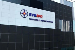 Ngày 22/1/2026, đấu giá thanh lý dây chuyền công nghệ của Tổng công ty Điện lực miền Nam TNHH