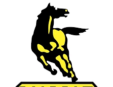 Ngày 9/2/2026, đấu giá 04 xe ô tô xi téc của Công ty cổ phần Thương mại và Vận tải Petrolimex Hà Nội