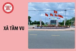 Ngày 15/1/2026, đấu giá quyền sử dụng đất tại xã Tầm Vu, tỉnh Tây Ninh