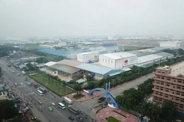 Ngày 27/8/2025, đấu giá quyền sử dụng đất tại P. Tân Thành, TP.HCM