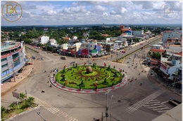 Ngày 19/8/2025, đấu giá quyền sử dụng đất tại xã Bình Tân, tỉnh Đồng Nai