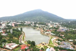 Ngày 8/1/2026, đấu giá quyền sử dụng đất tại phường Bình Phước, tỉnh Đồng Nai