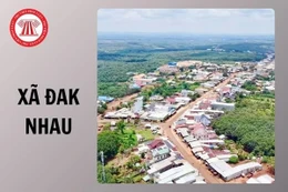 Ngày 24/4/2026, đấu giá quyền sử dụng đất tại xã Đak Nhau, tỉnh Đồng Nai