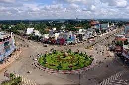 Ngày 9/1/2026, đấu giá quyền sử dụng đất tại xã Tân Lợi và xã Đồng Tâm, tỉnh Đồng Nai