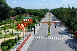 Ngày 20/8/2025, đấu giá quyền sử dụng đất tại xã Phú Giáo, TP.HCM