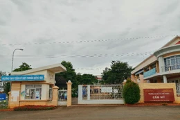 Ngày 13/2/2026, đấu giá quyền khai thác dịch vụ phụ trợ là Bãi xe tại Trường THPT Cẩm Mỹ, tỉnh Đồng Nai