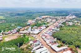 Ngày 25/12/2025, đấu giá quyền sử dụng đất tại xã Đắk Ơ, tỉnh Đồng Nai