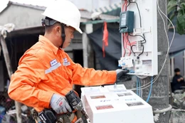 Ngày 19/12/2025, đấu giá Lô hàng VTTB, công tơ, TSCĐ thanh lý của Công ty Điện lực Quảng Trị