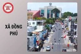Ngày 2/3/2026, đấu giá quyền sử dụng đất tại xã Đồng Phú, tỉnh Đồng Nai