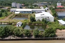 Ngày 23/3/2026, đấu giá quyền sử dụng đất, hệ thống dây chuyền, MM, TB của nhà máy xử lý nước lợ, dây chuyền nước đóng chai tại xã Bình Khánh, TP.HCM