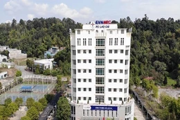 Ngày 31/12/2025, đấu giá Lô VTTB, TSCĐ thu hồi, ứ đọng, kém mất phẩm chất, đợt 4 năm 2025 của Công ty Điện lực Lào Cai