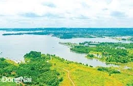 Ngày 29/12/2025, đấu giá quyền sử dụng đất tại xã Xuân Đông, tỉnh Đồng Nai