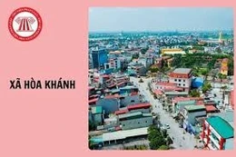 Ngày 20/1/2026, đấu giá quyền sử dụng đất tại xã Mỹ Hạnh, xã Hậu Nghĩa, xã Tân Mỹ và xã Hoà Khánh, tỉnh Tây Ninh