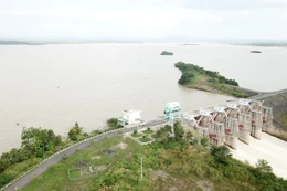 Ngày 25/3/2026, đấu giá Máy biến áp 230/115/23kV-63/63/5 MVA và các phụ tùng dự phòng của Công ty Thủy điện Buôn Kuốp