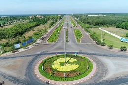 Ngày 7/8/2025, đấu giá quyền sử dụng đất tại xã Xuân Đông, tỉnh Đồng Nai