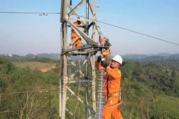 Ngày 2/1/2026, đấu giá Lô số 1 - VTTB, TSCĐ của Công ty Điện lực Quảng Trị