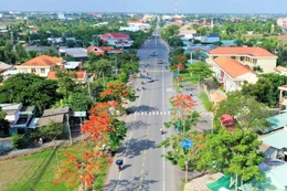 Ngày 11/9/2025, đấu giá quyền sử dụng đất tại xã Tân Lân, tỉnh Tây Ninh