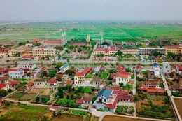 Ngày 30/1/2026, đấu giá quyền sử dụng 14 lô đất tại xã Nghĩa Hưng, tỉnh Ninh Bình