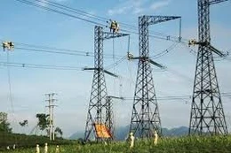 Ngày 9/1/2026, đấu giá Sợi cáp quang trên tuyến đường dây 220kV thuộc phạm vi quản lý của Công ty Truyền tải Điện 2