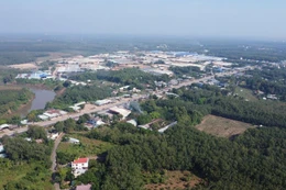 Ngày 17/12/2025, đấu giá quyền sử dụng đất tại xã Phú Giáo, TP.HCM