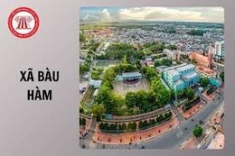 Ngày 26/3/2026, đấu giá quyền sử dụng đất tại xã Bàu Hàm, tỉnh Đồng Nai