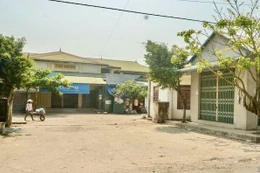 Ngày 13/3/2026, đấu giá cho thuê quyền sử dụng 03 Ki ốt và 33 lô quầy chợ Triệu Bình, xã Triệu Bình, tỉnh Quảng Trị