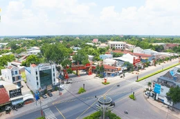 Ngày 29/1/2026, đấu giá quyền sử dụng đất tại xã Phú Giáo, TP.HCM