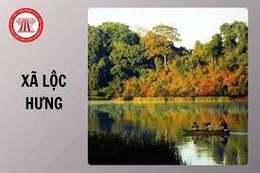 Ngày 22/1/2026, đấu giá quyền sử dụng đất tại xã Lộc Hưng, tỉnh Đồng Nai