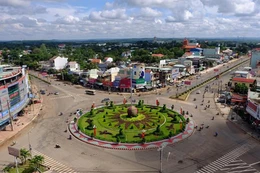 Ngày 12/9/2025, đấu giá quyền sử dụng đất tại xã Thuận Lợi, Đồng Nai