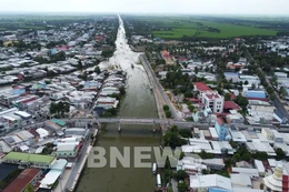 Ngày 4/12/2025, đấu giá quyền sử dụng đất tại xã Tháp Mười, tỉnh Đồng Tháp