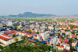 Ngày 12/8/2025, đấu giá quyền sử dụng đất tại xã An Quang, thành phố Hải Phòng