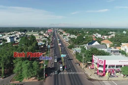 Ngày 15/9/2025, đấu giá quyền sử dụng đất tại xã Đồng Tâm, tỉnh Đồng Nai